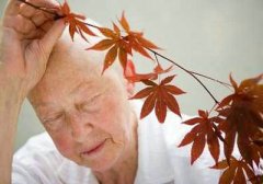 叙述癫痫病的症状表现都有哪些